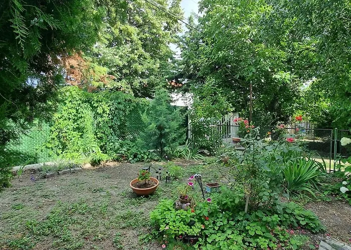 Relax & Spa-house Near Therma Numera Vilă *